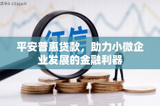 巍山平安普惠贷款，助力小微企业发展的金融利器