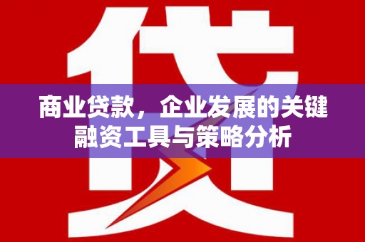 巍山商业贷款，企业发展的关键融资工具与策略分析