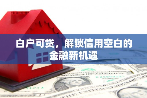 巍山白户可贷，解锁信用空白的金融新机遇