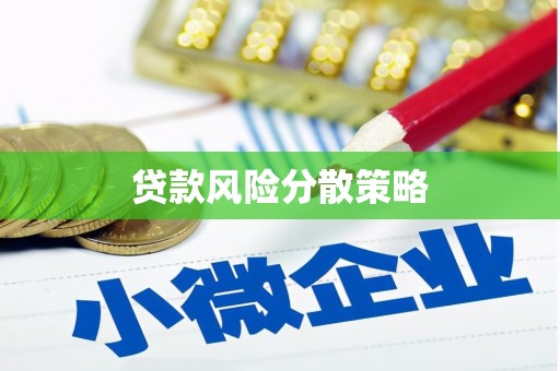 巍山贷款风险分散策略