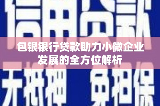 巍山包银银行贷款助力小微企业发展的全方位解析