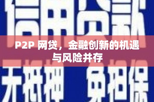 巍山P2P 网贷，金融创新的机遇与风险并存