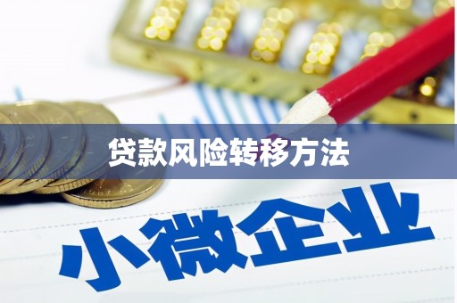 巍山贷款风险转移方法