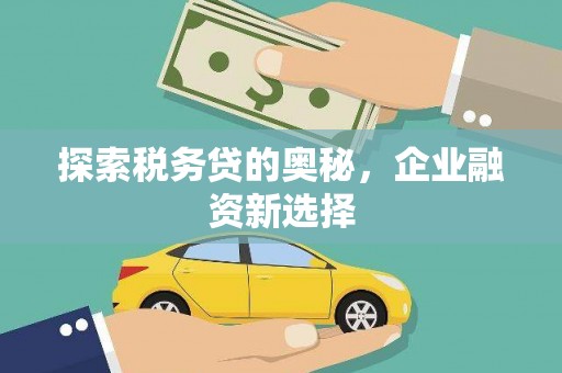 巍山探索税务贷的奥秘，企业融资新选择