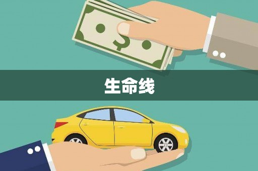 巍山生命线