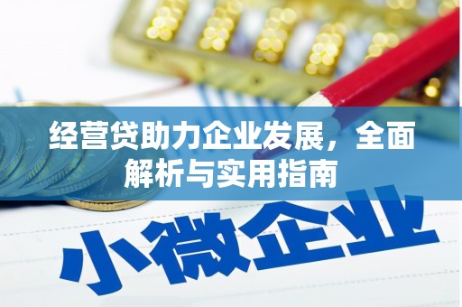 巍山经营贷助力企业发展，全面解析与实用指南