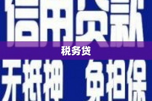 巍山税务贷