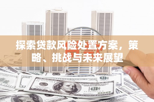 巍山探索贷款风险处置方案，策略、挑战与未来展望