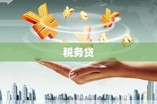 巍山税务贷