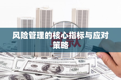 巍山风险管理的核心指标与应对策略