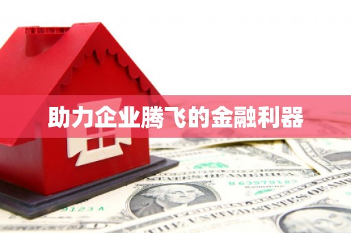 巍山助力企业腾飞的金融利器