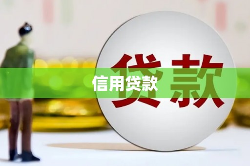 巍山信用贷款