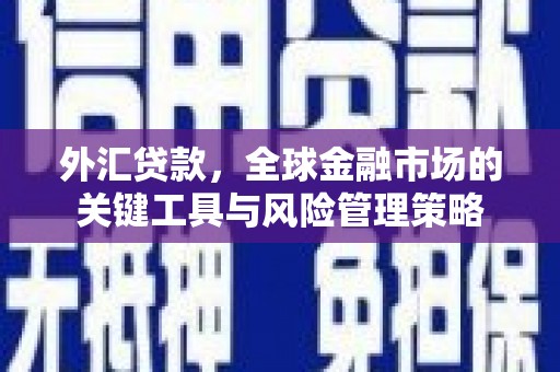 巍山外汇贷款，全球金融市场的关键工具与风险管理策略