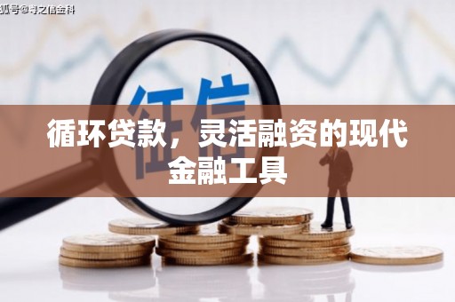 巍山循环贷款，灵活融资的现代金融工具