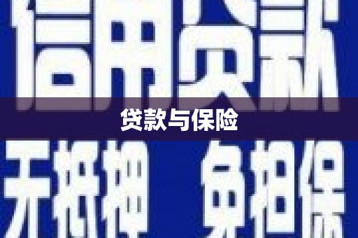 巍山贷款与保险