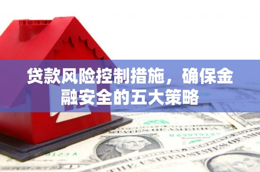 巍山贷款风险控制措施，确保金融安全的五大策略