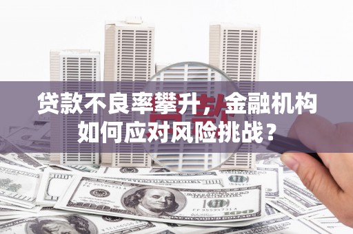 巍山贷款不良率攀升，金融机构如何应对风险挑战？