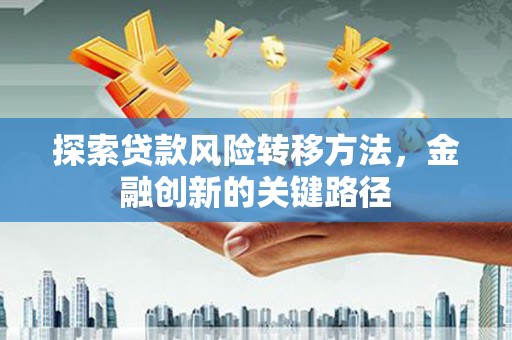 巍山探索贷款风险转移方法，金融创新的关键路径