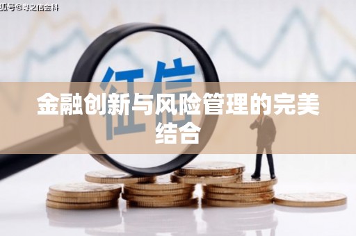 巍山金融创新与风险管理的完美结合