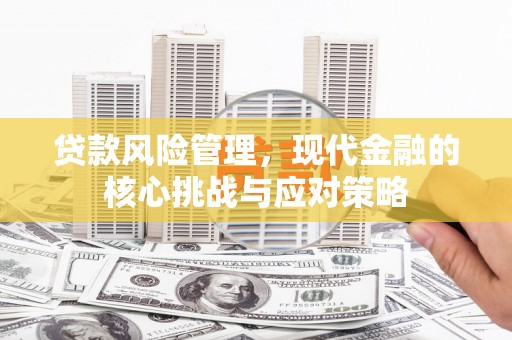 巍山贷款风险管理，现代金融的核心挑战与应对策略