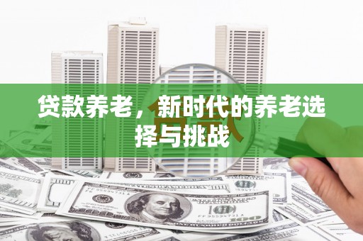 巍山贷款养老，新时代的养老选择与挑战