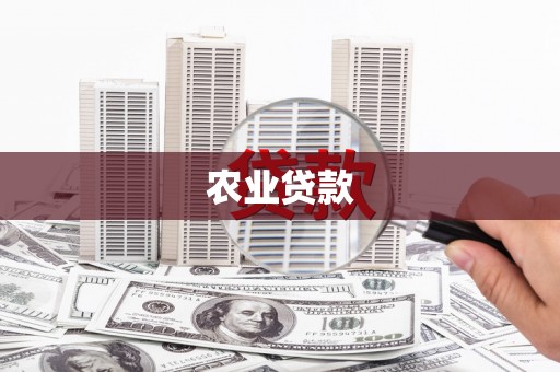 巍山农业贷款