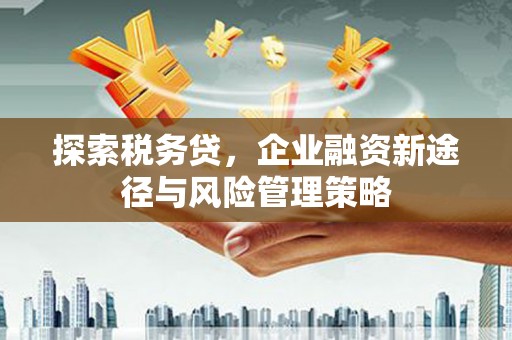 巍山探索税务贷，企业融资新途径与风险管理策略
