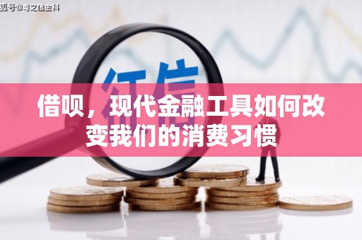 巍山借呗，现代金融工具如何改变我们的消费习惯
