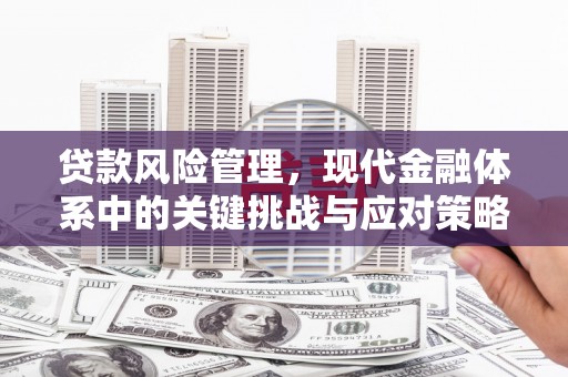 巍山贷款风险管理，现代金融体系中的关键挑战与应对策略