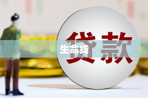 巍山生命线