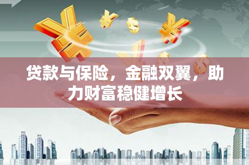 巍山贷款与保险，金融双翼，助力财富稳健增长