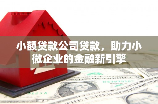 巍山小额贷款公司贷款，助力小微企业的金融新引擎