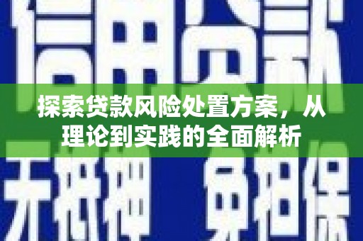 巍山探索贷款风险处置方案，从理论到实践的全面解析