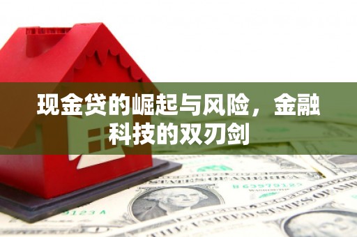 巍山现金贷的崛起与风险，金融科技的双刃剑