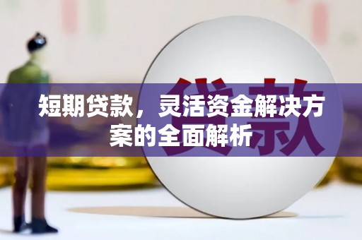 巍山短期贷款，灵活资金解决方案的全面解析