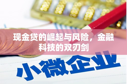 巍山现金贷的崛起与风险，金融科技的双刃剑