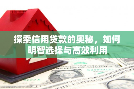 巍山探索信用贷款的奥秘，如何明智选择与高效利用