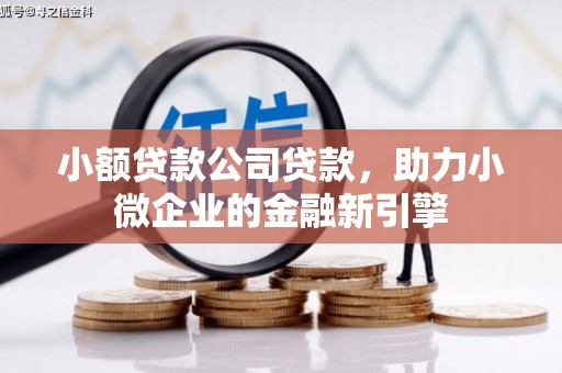巍山小额贷款公司贷款，助力小微企业的金融新引擎