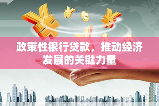 巍山政策性银行贷款，推动经济发展的关键力量