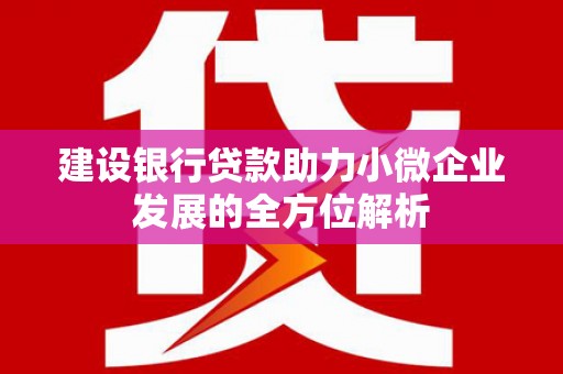 巍山建设银行贷款助力小微企业发展的全方位解析