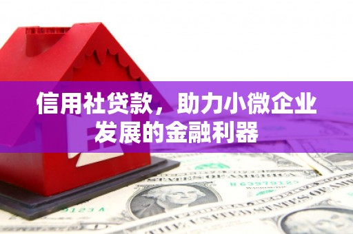 巍山信用社贷款，助力小微企业发展的金融利器