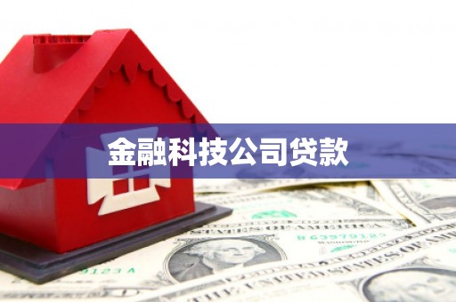 巍山金融科技公司贷款