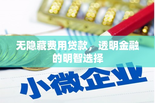 巍山无隐藏费用贷款，透明金融的明智选择