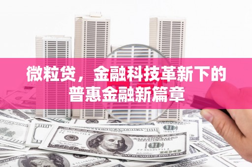 巍山微粒贷，金融科技革新下的普惠金融新篇章