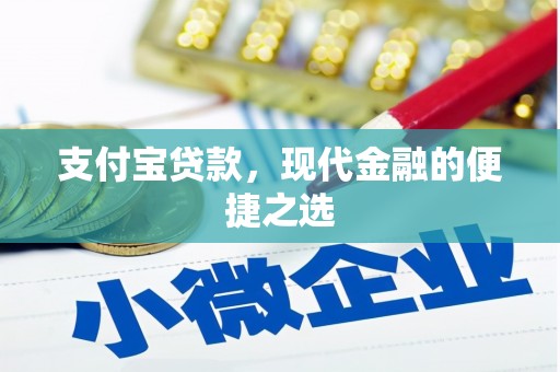 巍山支付宝贷款，现代金融的便捷之选