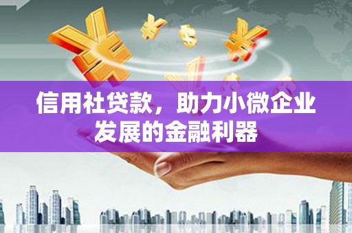 巍山信用社贷款，助力小微企业发展的金融利器