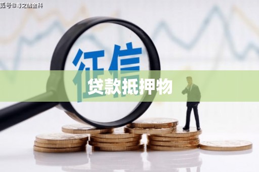 巍山贷款抵押物