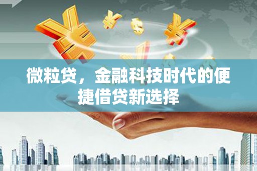 巍山微粒贷，金融科技时代的便捷借贷新选择