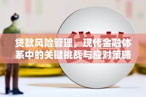巍山贷款风险管理，现代金融体系中的关键挑战与应对策略