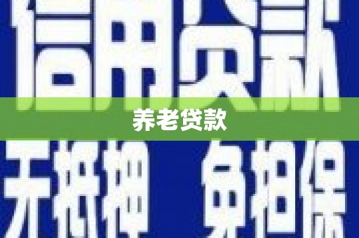 巍山养老贷款